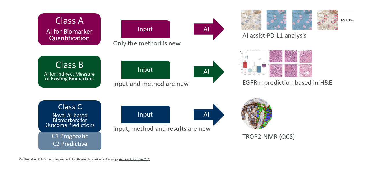 EBAI framework — four validation classes for AI-based biomarkers